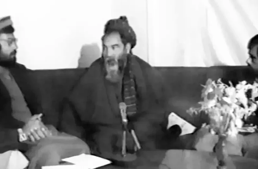 مزاری؛ و دیگر هیچ!