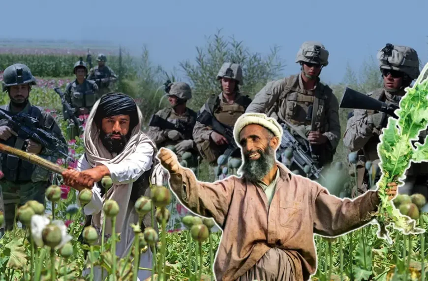 اوراق افغانستان؛ جنگ علیه تریاک