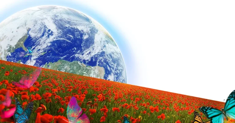 بهار؛ امید و آغاز دوباره
