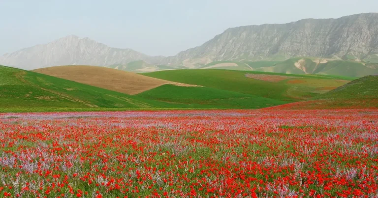 قصه‌های ماندگار نوروزی