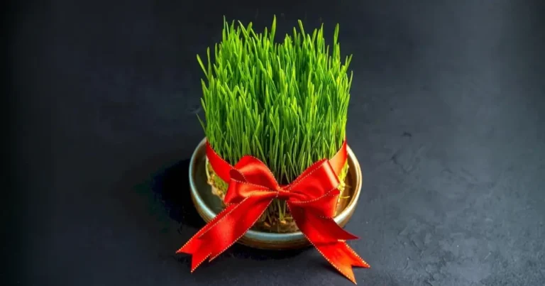 نوروز؛ نمادی برای آغاز دوباره