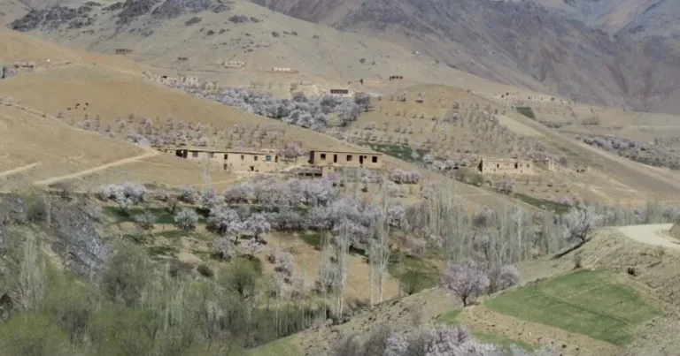 سر نوشتی که به اجبار تغییر کرد