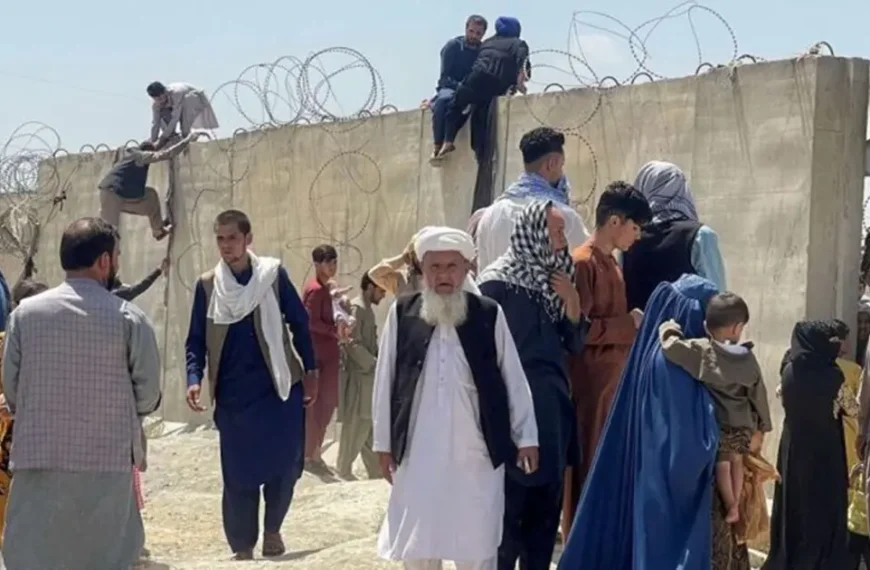 طالبان، مهاجرت و مرگ؛ مثلث شوم بی‌سرنوشتی جوانان افغان