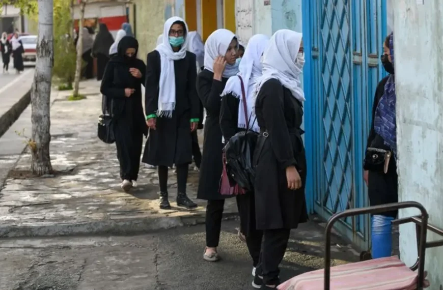 آمدن طالبان؛ آمدن یک مه سیاه در زندگی من
